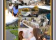Geo-Logic is a proud H2O Drops Sponsor of the 2026 H2O Women Conference, November 5–6 in Santa Barbara